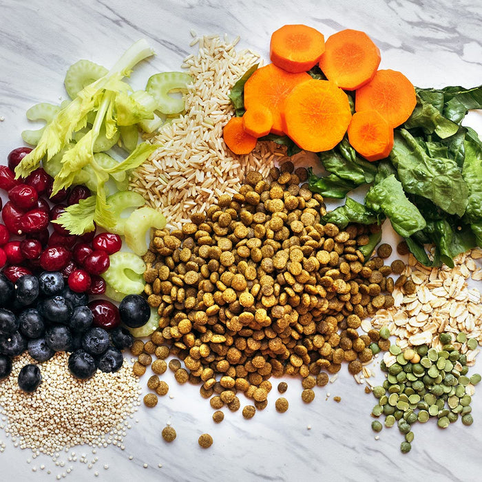 Vegan Mini Kibble Dry Dog Food, 4.5 LB, with Plant Based Protein