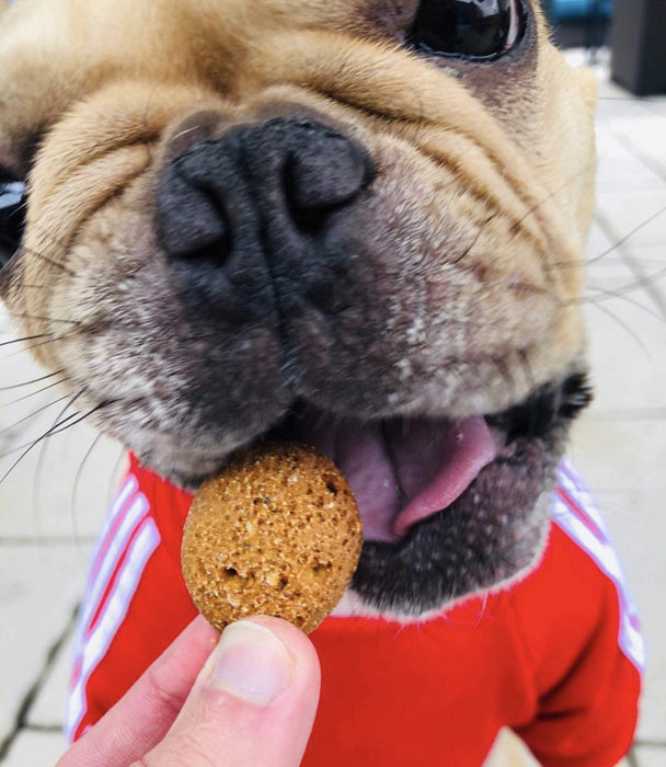 Peanut Butter & Banana - Shaded Trails All Natural Crunchy Dog Treats 8 oz - Vegan & Grain Free