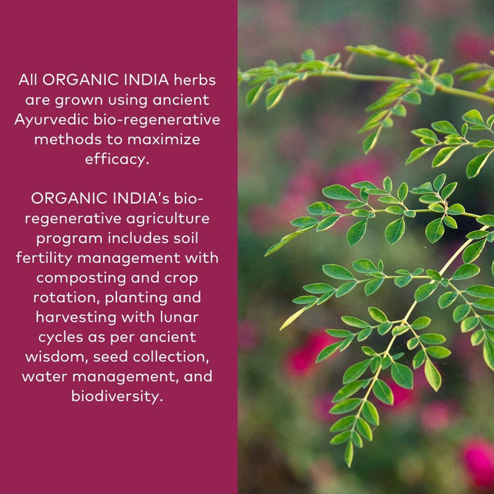 Organic India Triphala Herbal Supplement - Digestion & Colon Support, Immune System Support, Adaptogen, Nutrient Dense, Vegan, Gluten-Free, USDA Certified Organic, Non-GMO - 90 Capsules