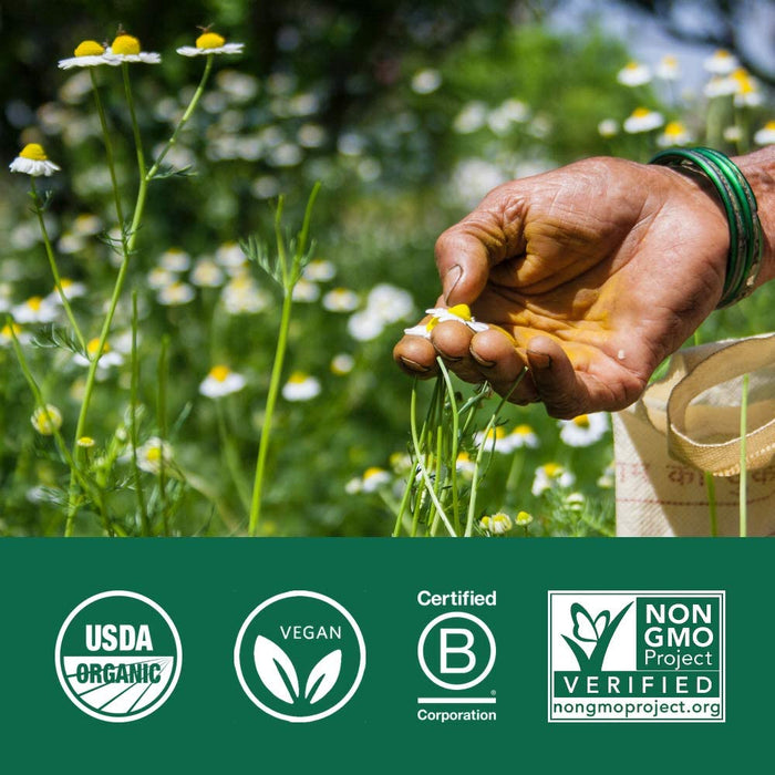 Organic India Triphala Herbal Supplement - Digestion & Colon Support, Immune System Support, Adaptogen, Nutrient Dense, Vegan, Gluten-Free, USDA Certified Organic, Non-GMO - 90 Capsules